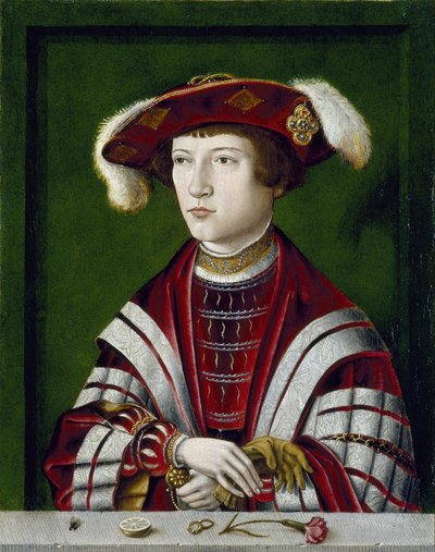 Portrait of a Nobleman by Unbekannt Unbekannt